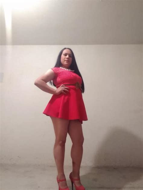 escorts trans tijuana|Escorts TRANS Travestis Tijuana Baja California Ts Shemales。